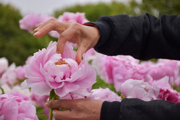 6017a7df34580.jpg
