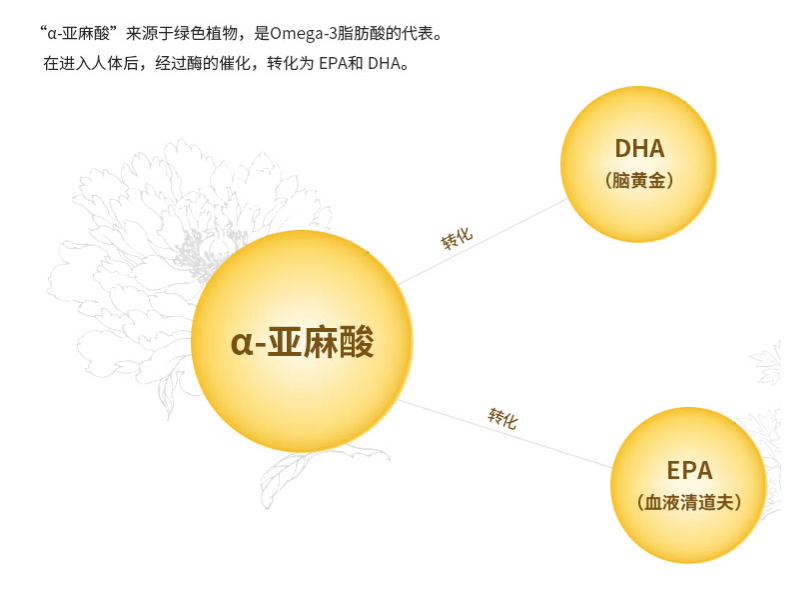 630081b018602.png