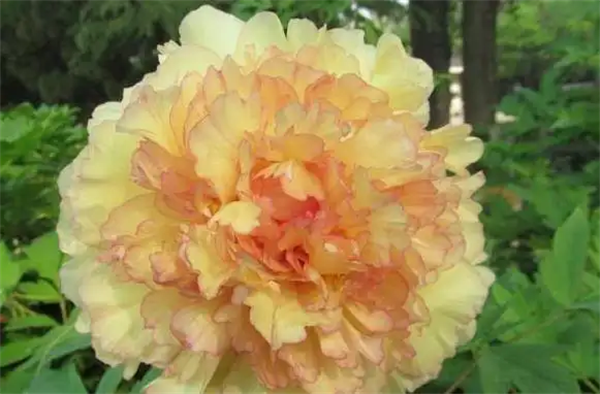 63008d31e292c.png