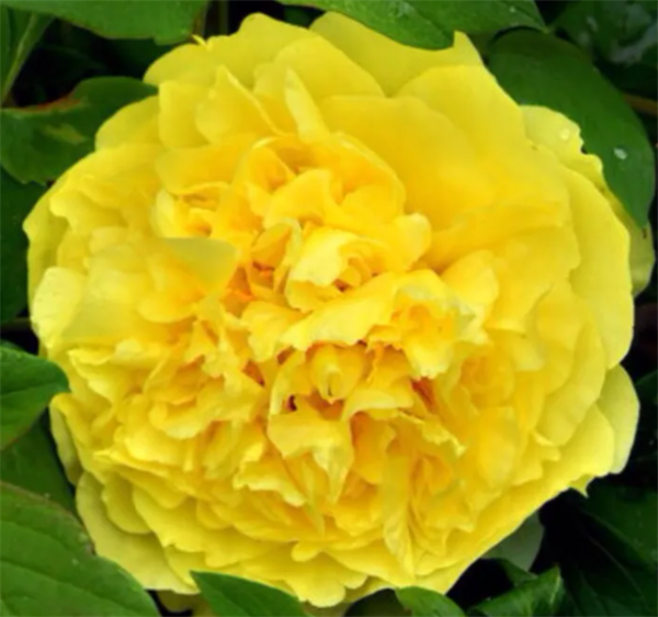 63008d510edfa.png