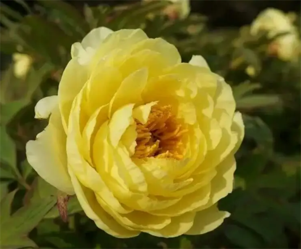 63008d5704087.png