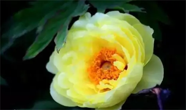 63008d637065e.png