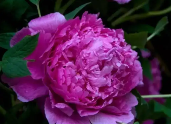 63202bf9ec845.png