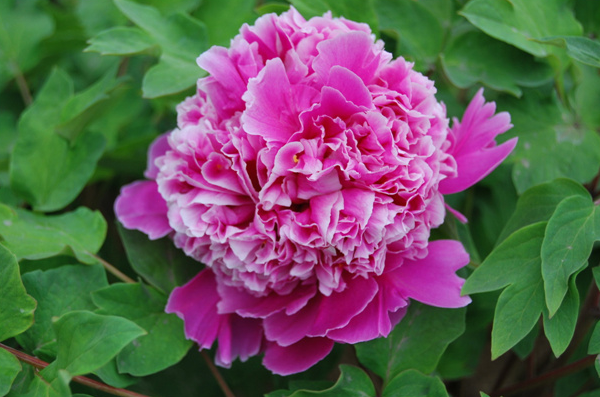 63202c29a9c5a.png