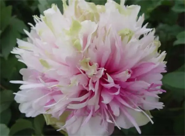 6320309c00902.png