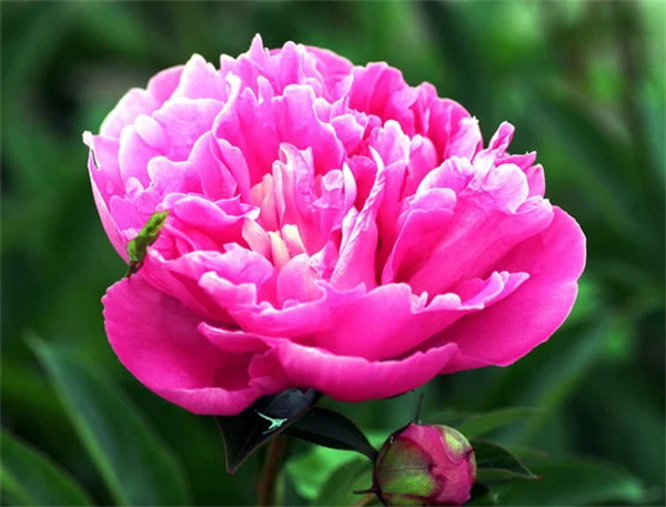 6476bdff5452a.png