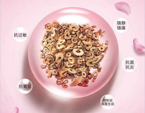 653a329005587.png