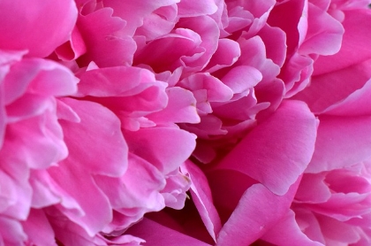 653e107c4caa8.png