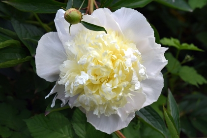 653e108d6123b.png
