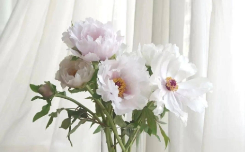 659f9b32d8921.png