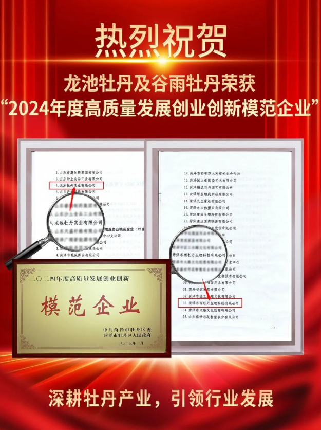 67a4616a180a7.png